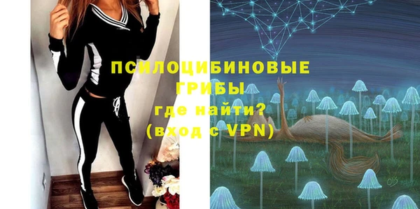 МДПВ Арсеньев
