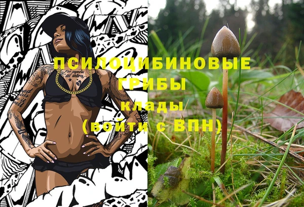 МДПВ Арсеньев